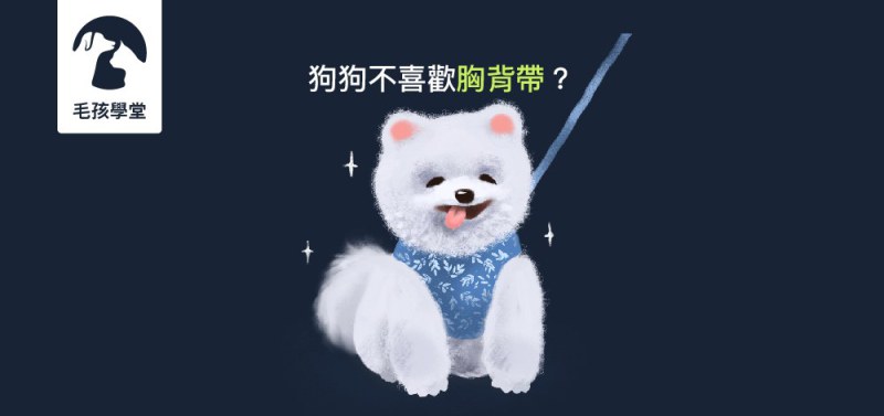 狗狗不喜歡胸背帶，怎樣都不肯穿怎麼辦？簡單兩個小技巧，練習幫狗狗穿胸背帶